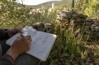 Textured stone viewpoint above Provençal hills at sunset, local guide's hand holding a hiking map, olive branches casting shadows, tranquil and natural ambiance.
