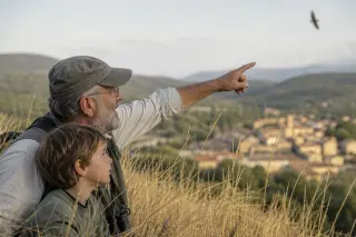 An older ornithologist and a child quietly observing a bird in flight among sunlit grasses overlooking Provençal woodlands and rooftops.